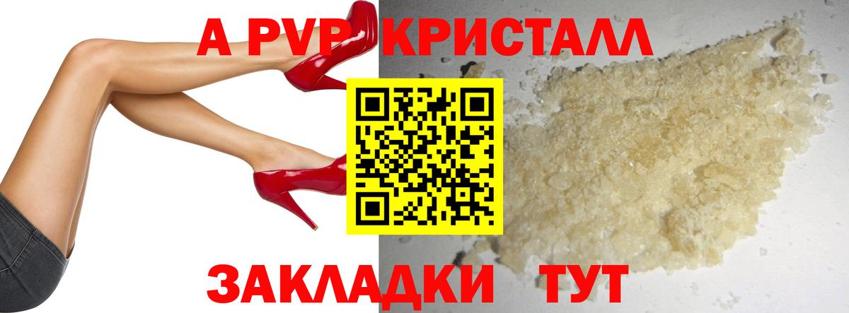 Альфа ПВП СК Бийск