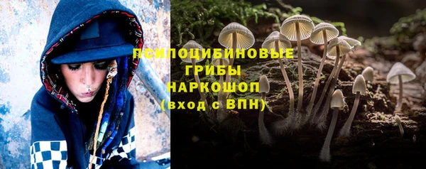 таблы Новодвинск