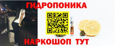 прущие крисы Аргун