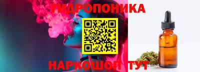 прущие крисы Аргун