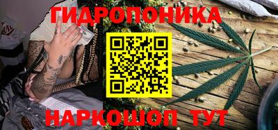 ПСИЛОЦИБИНОВЫЕ ГРИБЫ Гагарин