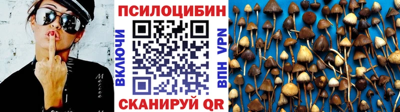 Псилоцибиновые грибы мухоморы  купить наркотик  Бийск 