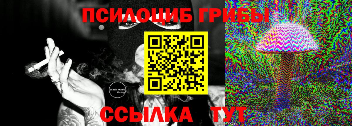 Псилоцибиновые грибы GOLDEN TEACHER  Вход с VPN  Бийск 