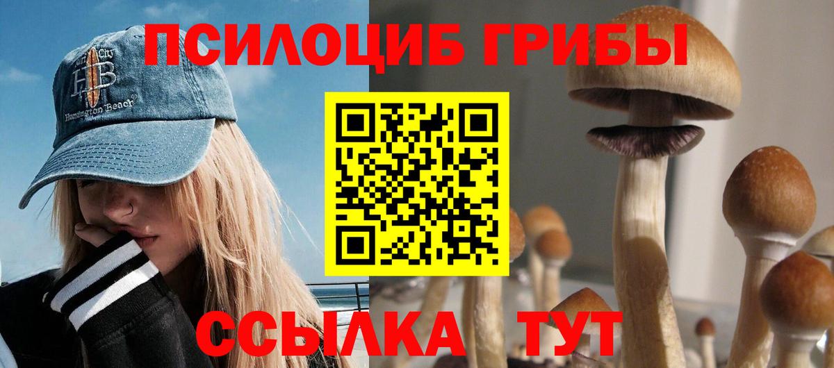 Псилоцибиновые грибы ЛСД Бийск