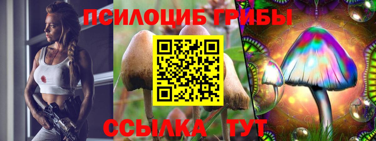 Псилоцибиновые грибы Magic Shrooms  Бийск 