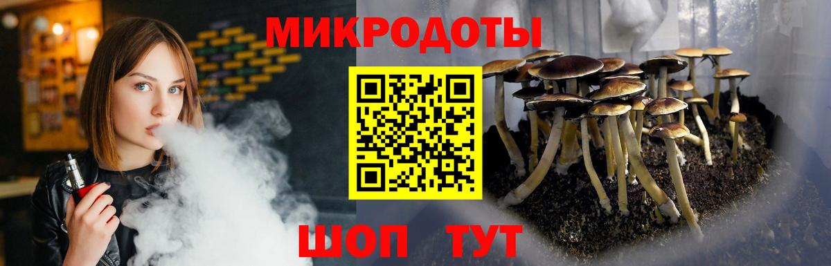 Псилоцибиновые грибы Psilocybine cubensis  Вход с VPN  Бийск  Галлюциногенные грибы Cubensis 
