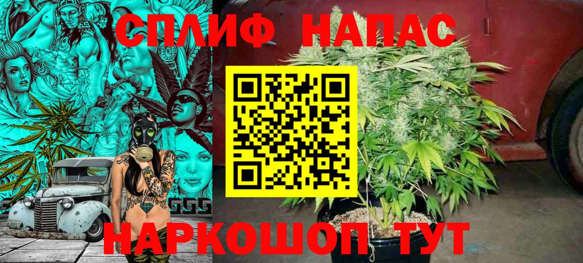 Каннабис индика Бийск